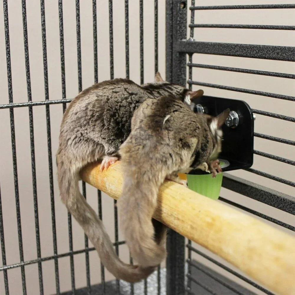 Nectar Pods Holder - Durable Cage Accessory for Nectar Pods - Sugar Gliders, Mar